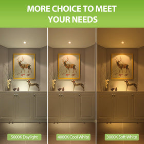 GEPLAD GU10 LED bulbs ideal for track lighting in shops and homes.