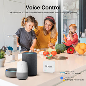 G Home G2 gateway indicators illustrate Bluetooth mesh stability.