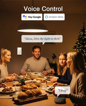 GHome Smart Dimmer Switch compatible with Google Home for voice control.