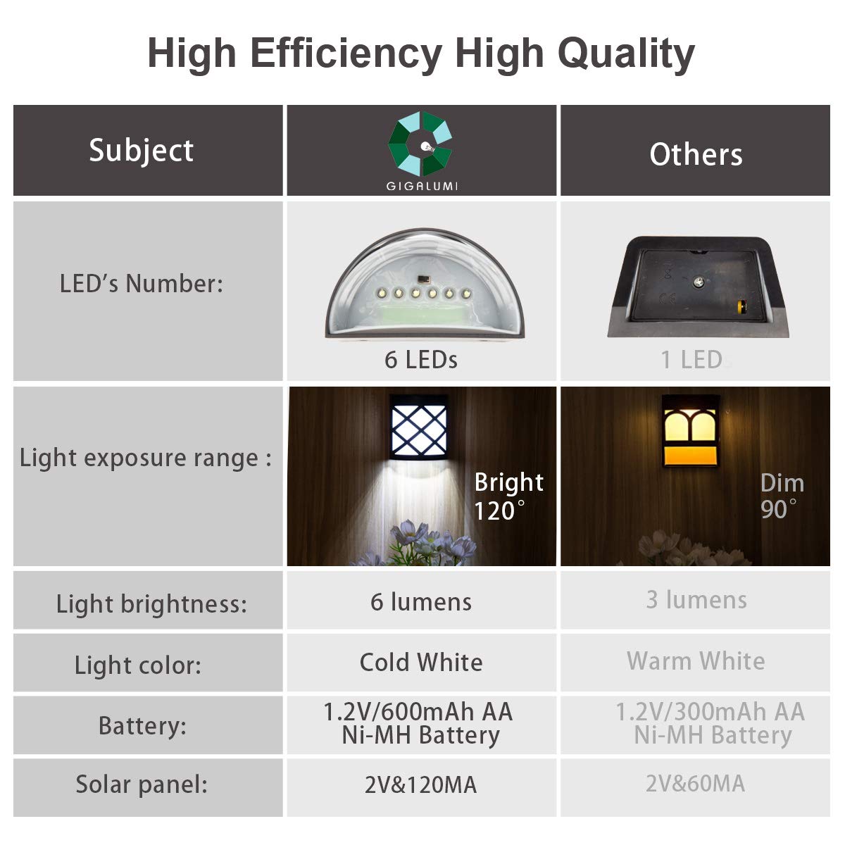 GIGALUMI cold white LEDs add modern ambience to driveways and fences.