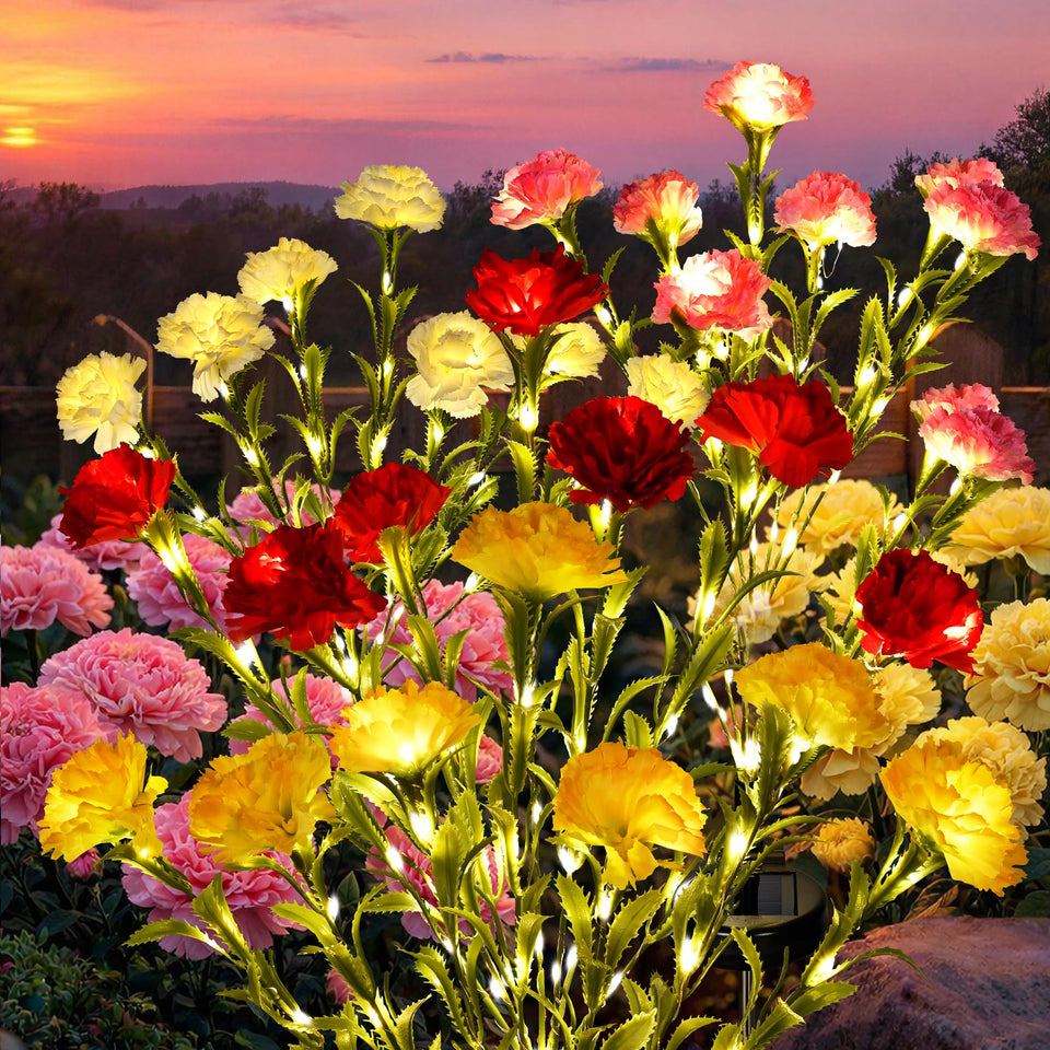 GIGALUMI solar carnation blooms on a stake illuminate garden paths