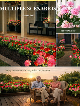 GIGALUMI solar chrysanthemum light auto on/off for effortless installation