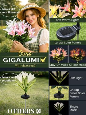 GIGALUMI solar lily light along pathway provides decorative night lighting