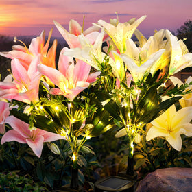 GIGALUMI solar lily light white bloom brightens daytime garden display