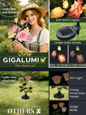 GIGALUMI solar rose lights at night illuminate pathways with warm glow.