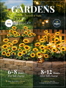 GIGALUMI solar sunflowers night glow along a garden path