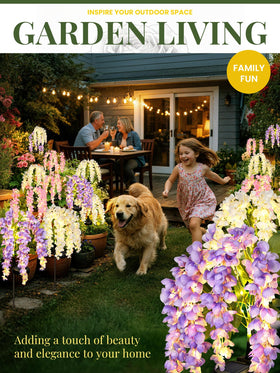GIGALUMI Multi-colored wisteria provide daytime color and evening glow for patios.