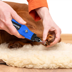 GINELSON low-noise motor supports quiet home use.