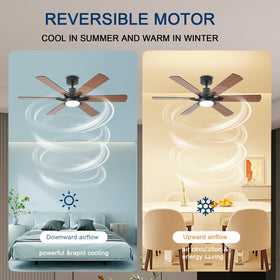 GJeg 24-month warranty and responsive support for peace of mind.