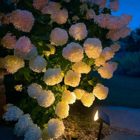 GKGG energy-saving solar LED light reduces grid energy use