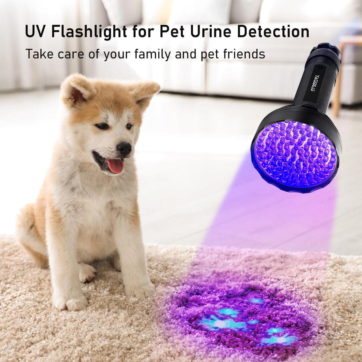Glossday UV light detects pet urine marks for quick cleanliness checks.