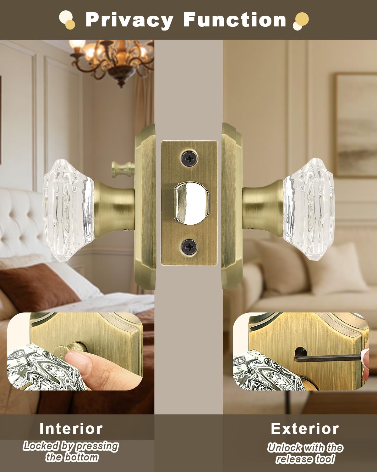 Transparent glass doorknob showcases the elegant Gobrico design