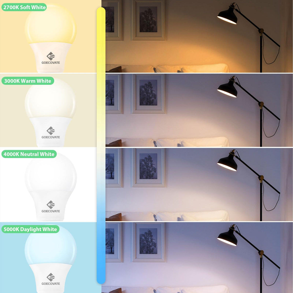 GOECOVATE 8W LED bulbs installed in a lamp setup for steady light.