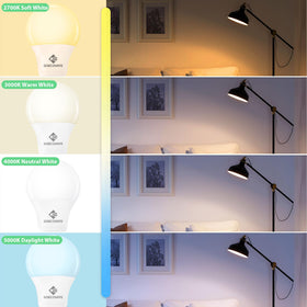 GOECOVATE 8W LED bulbs installed in a lamp setup for steady light.