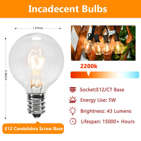 GOOTHY G40 globe bulbs in clear glass for vibrant evenings outdoors