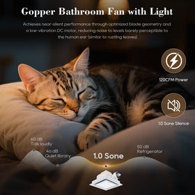 Gopper 120 CFM ceiling fan moves air efficiently for quick moisture removal.