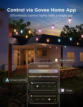 Govee 112 modes app control for customization