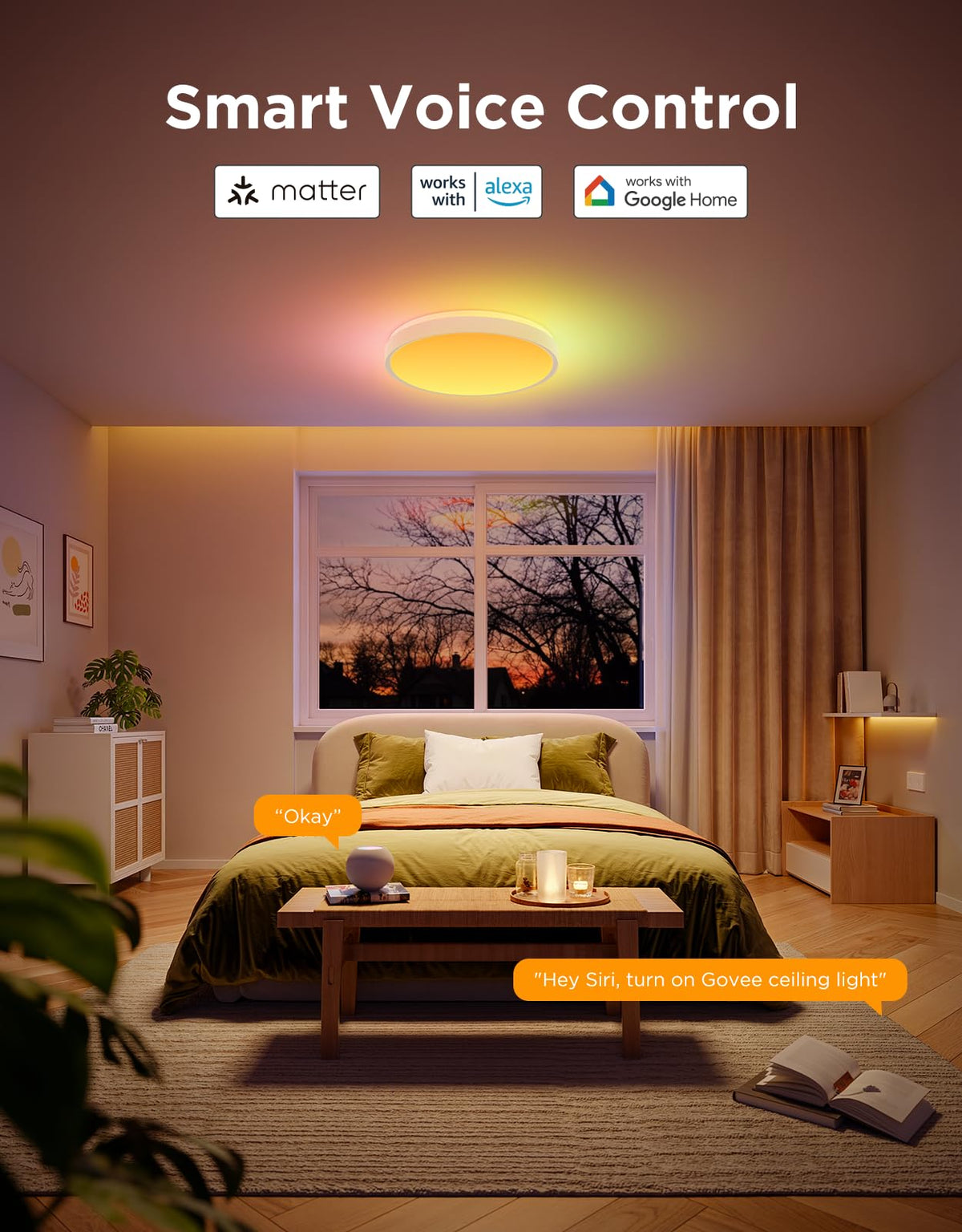 Govee ceiling light 66+ preset scenes for various occasions.
