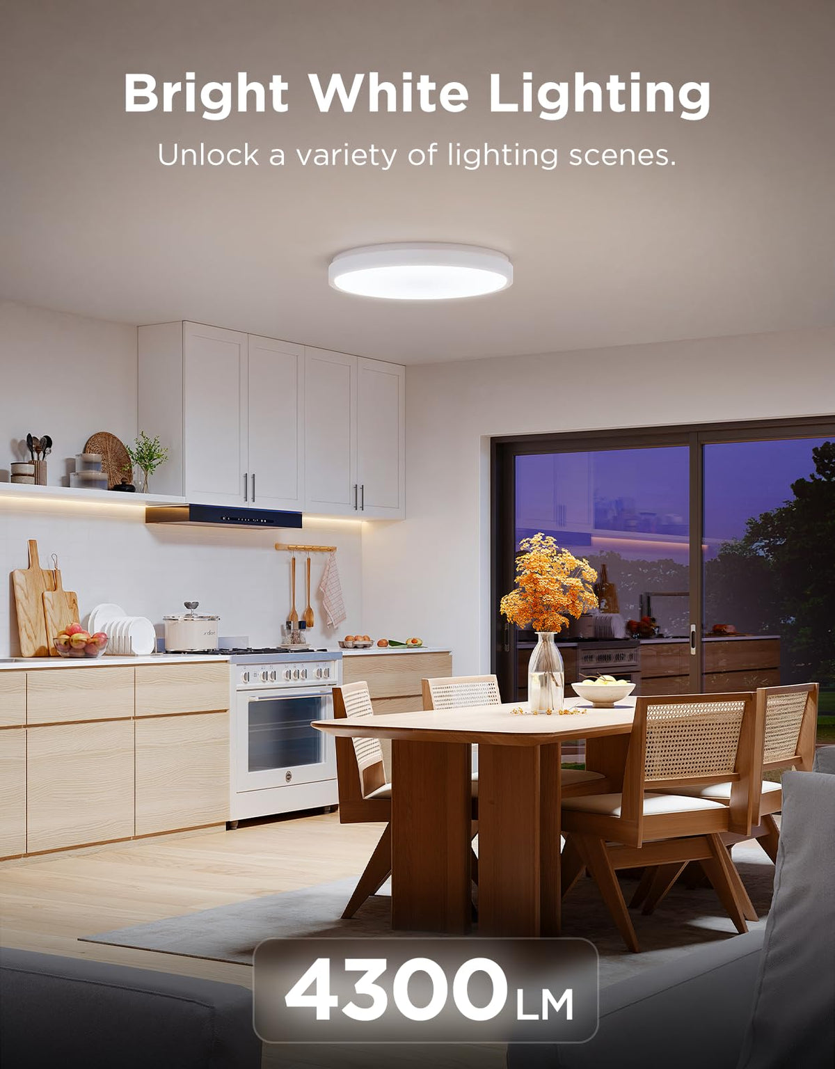 Govee ceiling light mounting backplate shown for quick flush installation.