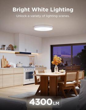 Govee ceiling light mounting backplate shown for quick flush installation.