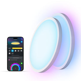 Govee ceiling light main RGB+WW with RGBIC for versatile mood lighting.