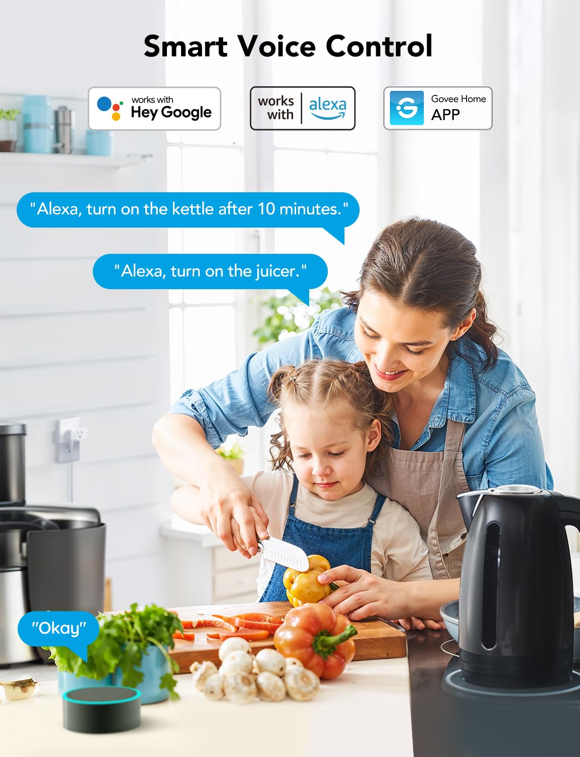 Govee Dual Smart Plug with voice control works with Alexa