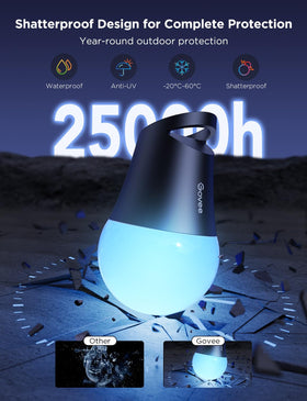 Govee IP65 waterproof rating protects lights from rain and dust.