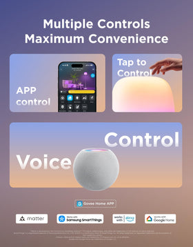 Govee Lantern Floor Lamp offers over 100 scenes and music sync.