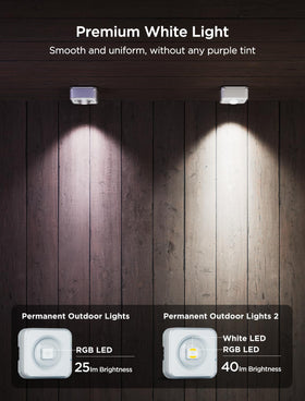Govee Permanent Outdoor Lights 2 smart app control and remote adjustments