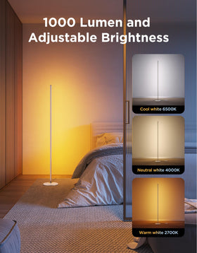 Govee RGBIC Floor Lamp Basic 85 scenes for mood settings and holidays.