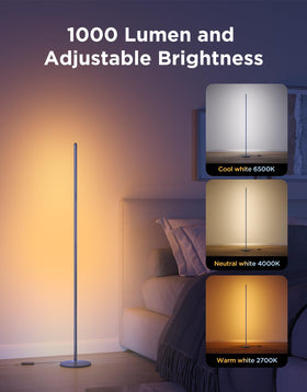 Govee RGBIC Floor Lamp Basic Alexa voice control for hands-free lighting