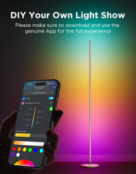 Govee RGBIC Floor Lamp Basic voice control with Alexa and Google Assistant.