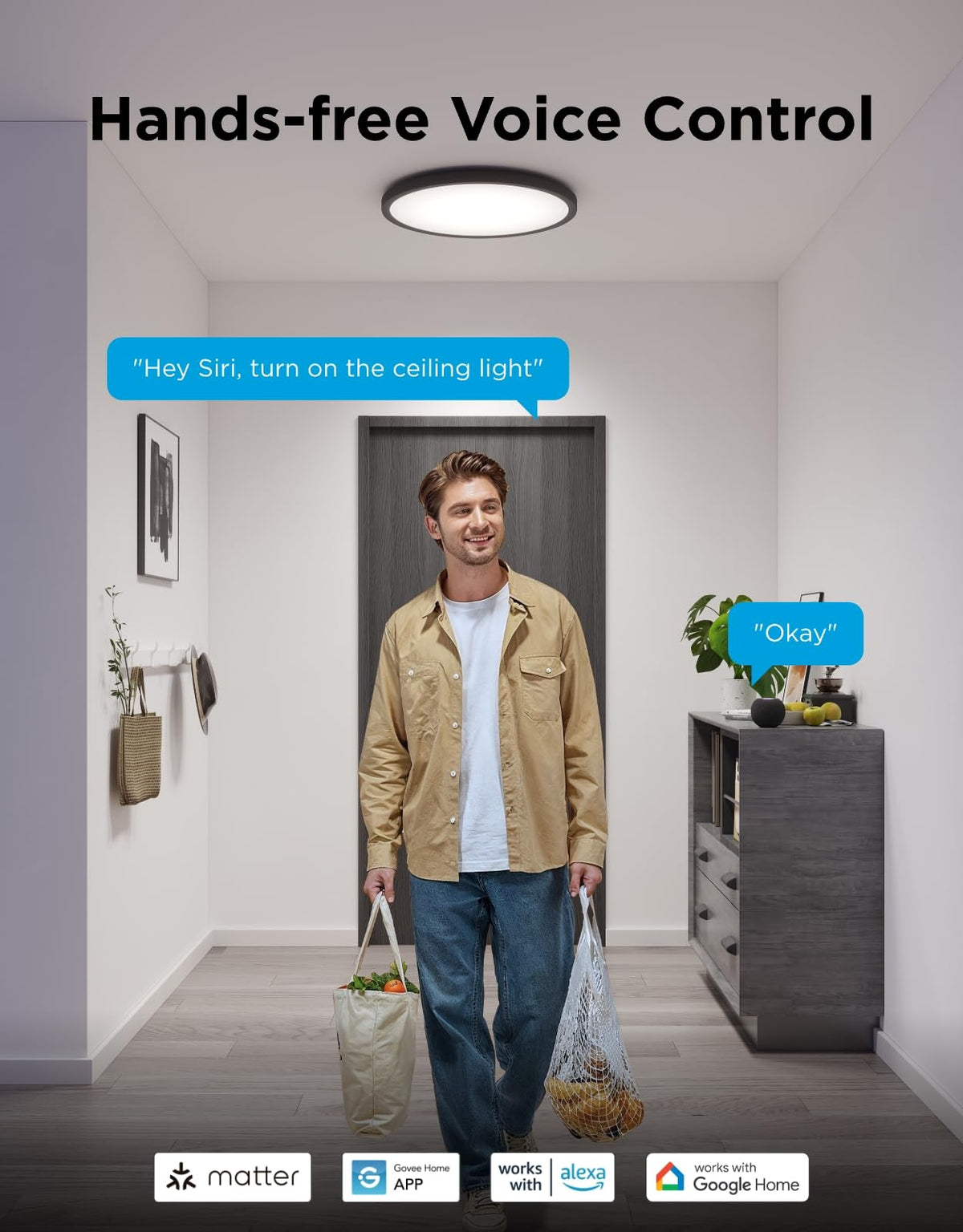 Govee ceiling light scene modes to create customized atmospheres