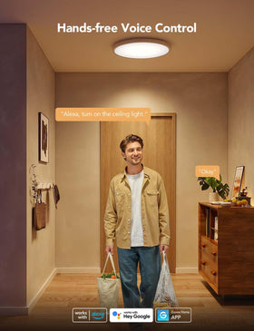 Govee smart control with Alexa enables hands-free operation.
