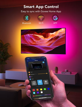 Govee smart control with app and voice compatibility overview