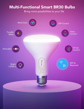 Govee BR30 dimming from 1 percent to 100 percent for mood customization