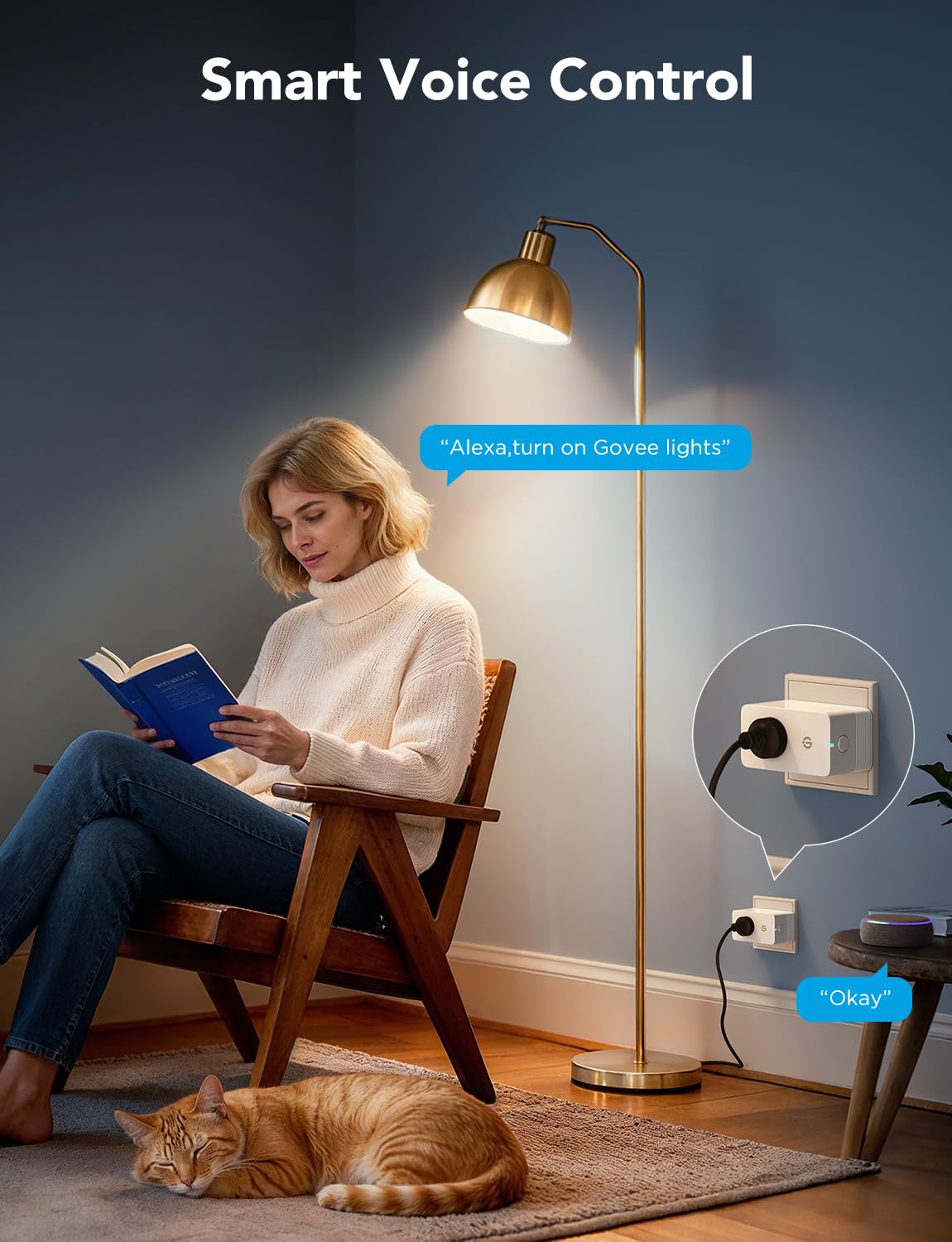 Govee Smart Plug scheduling and group control to automate devices