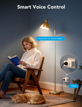 Govee Smart Plug scheduling and group control to automate devices