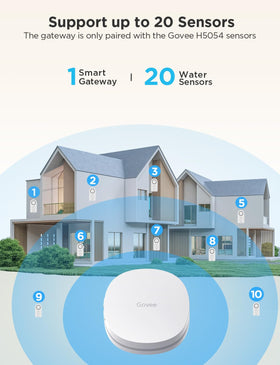 Govee gateway setup shows 2.4G Wi‑Fi connection for reliable alerts