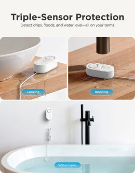 GoveeLife multi-point monitoring covers two areas with independent probes.