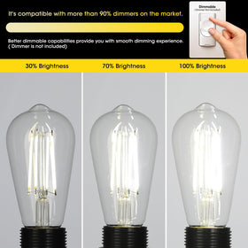 Gozelux clear glass Edison bulb ideal for open fixtures.
