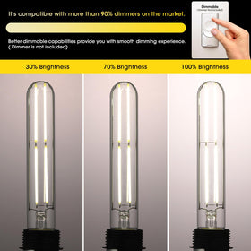 Gozelux dimmable Edison bulb in open indoor fixture