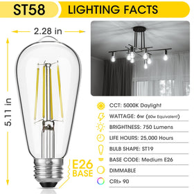 Gozelux LED Edison bulb 60W-equivalent angled view.