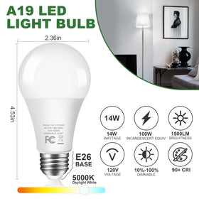 GOZIG daylight 5000K bulbs delivering natural, crisp light