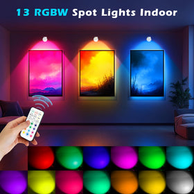 Guankai picture lamp with rotatable head to direct light on portraits.