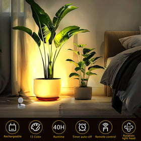 Guankai wireless RGB spotlight with remote for vibrant artwork lighting.