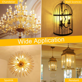 GvvooHome 24-pack LED bulbs for replacements and decor.