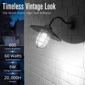 GvvooHome 60W equivalent Edison bulb 4000K cool white adds crisp kitchen and bath brightness