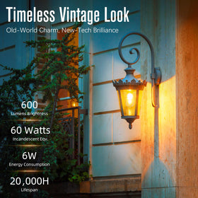 GvvooHome Edison bulbs clear glass 60W equivalent with warm glow