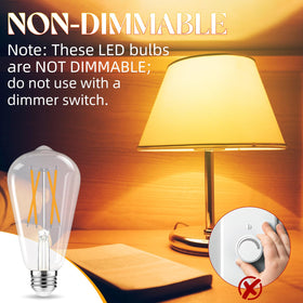 GvvooHome Edison bulb at 2700K provides soft, warm ambience.
